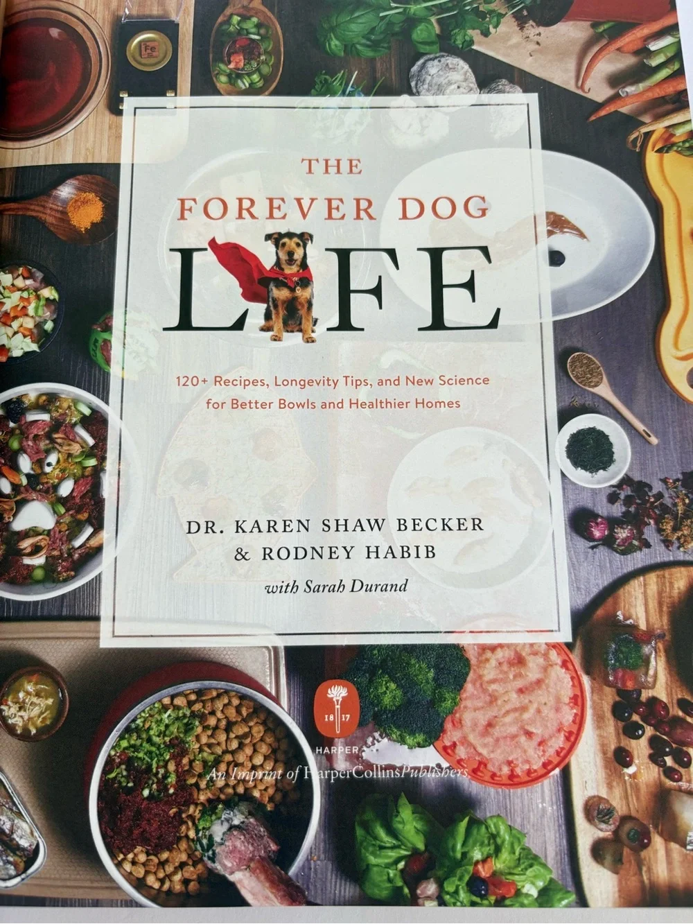 The Forever Dog Life - Dog Care & Recipe Book (White/Cream Cover)